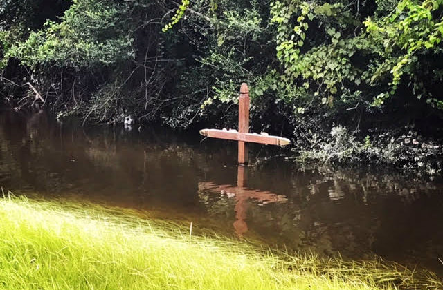 Hope rising above the flood