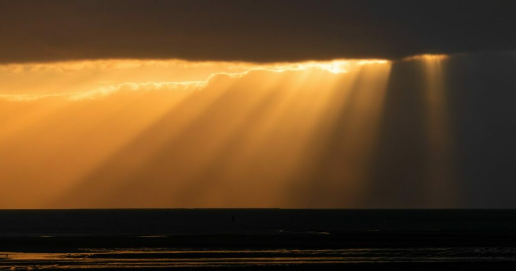 Mercy and not sacrifice