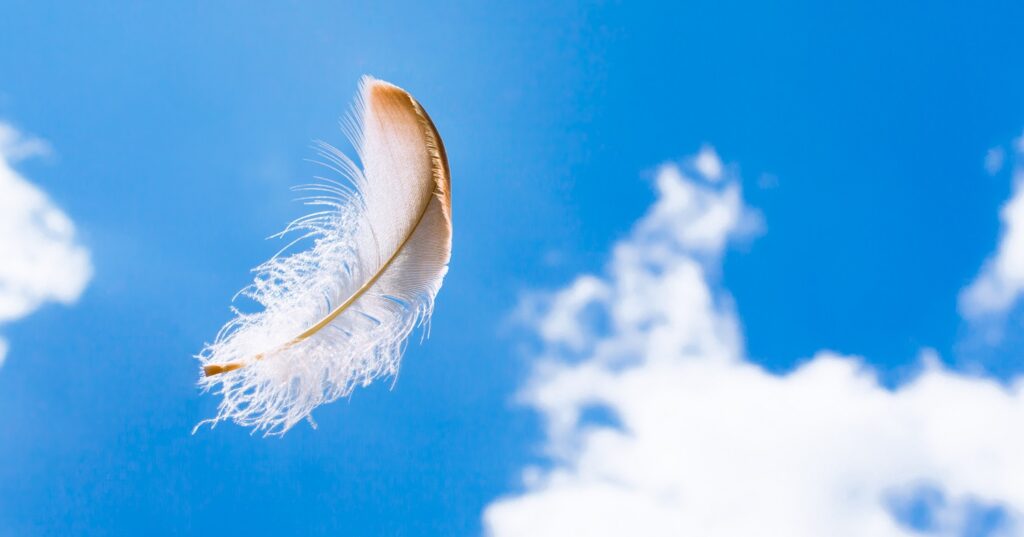 Eternal Misconceptions